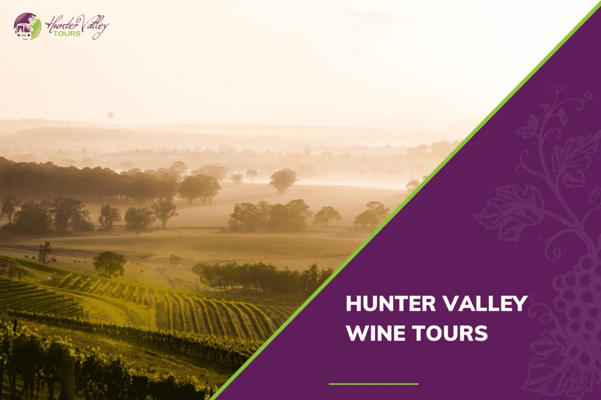 Hunter Valley Vineyard Tours