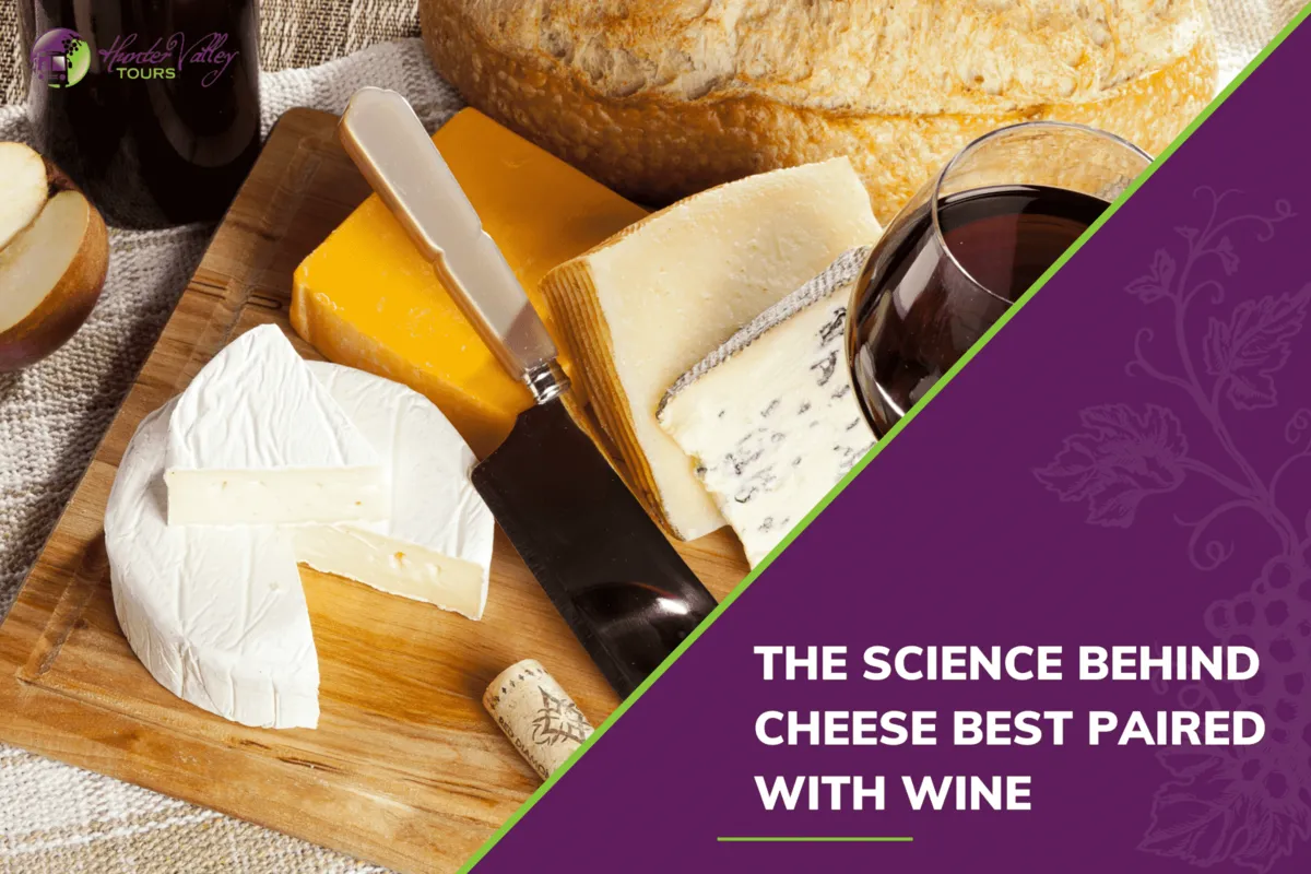 The Science Behind Cheese Best Paired with Wine