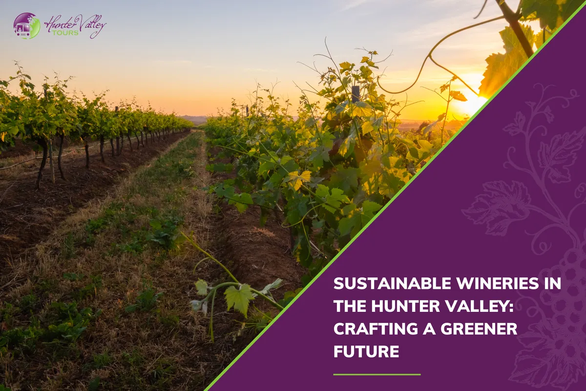 Sustainable Wineries in the Hunter Valley: Crafting a Greener Future