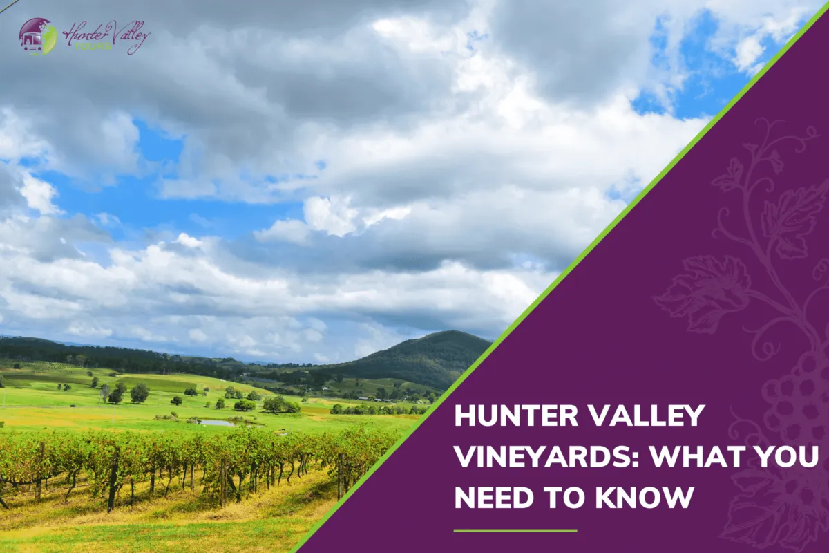 Hunter Valley Vineyards: What You Need to Know