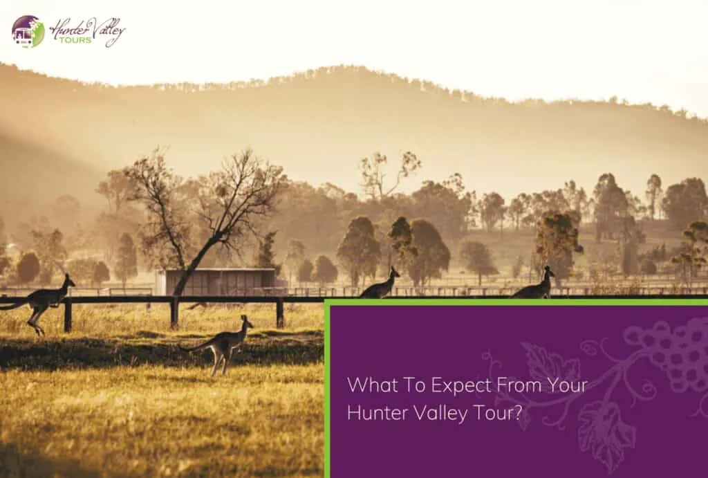 Hunter Valley