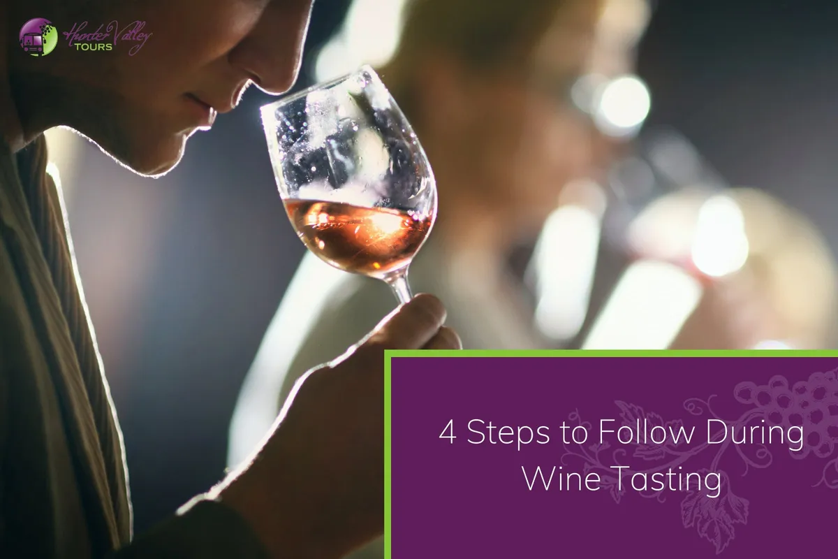 4 Steps to Follow During Wine Tasting