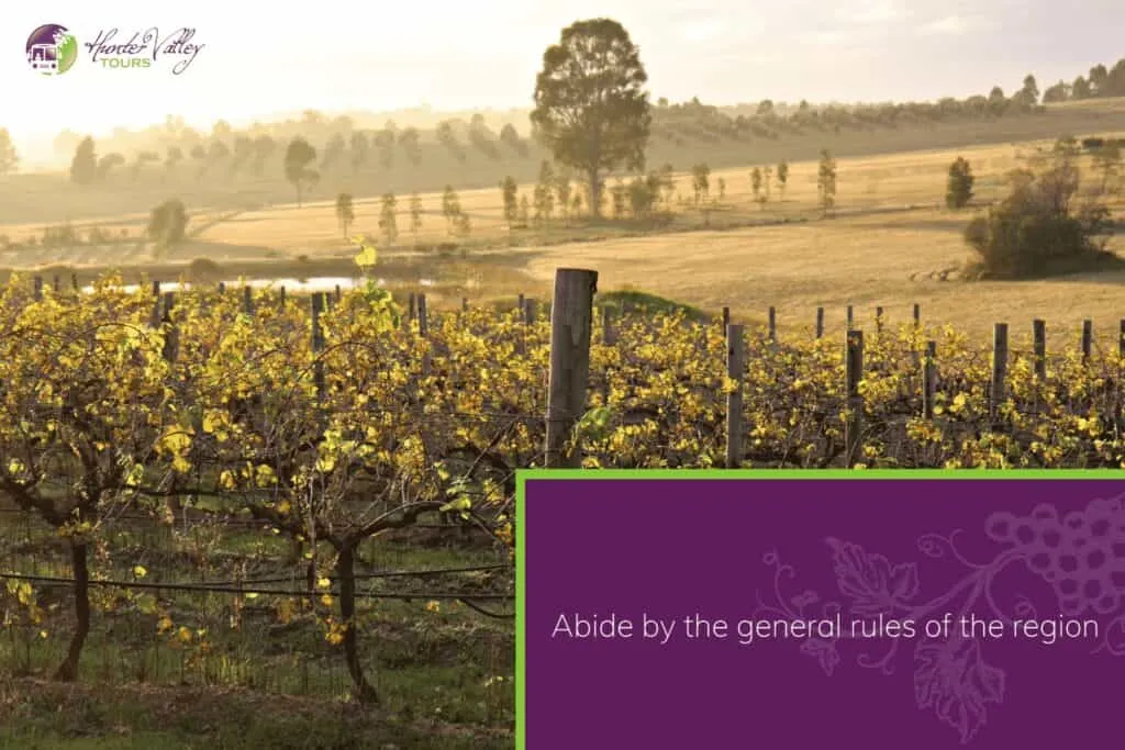 vineyards