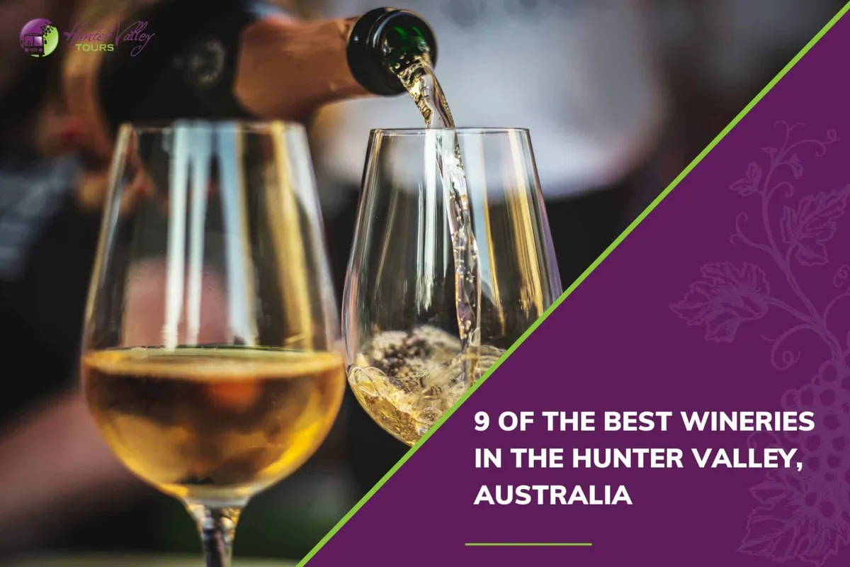 9 of the Best Wineries in the Hunter Valley, Australia