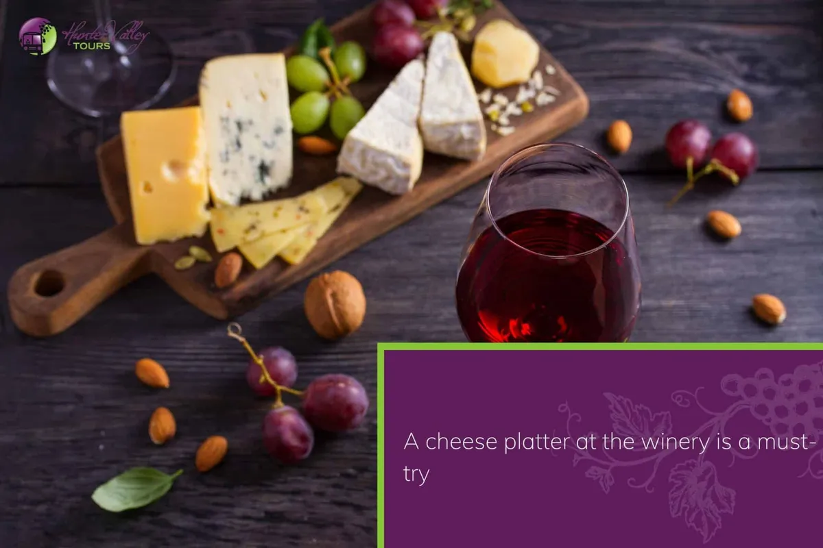 10 Reasons to Join Hunter Valley Wine Bus Tours