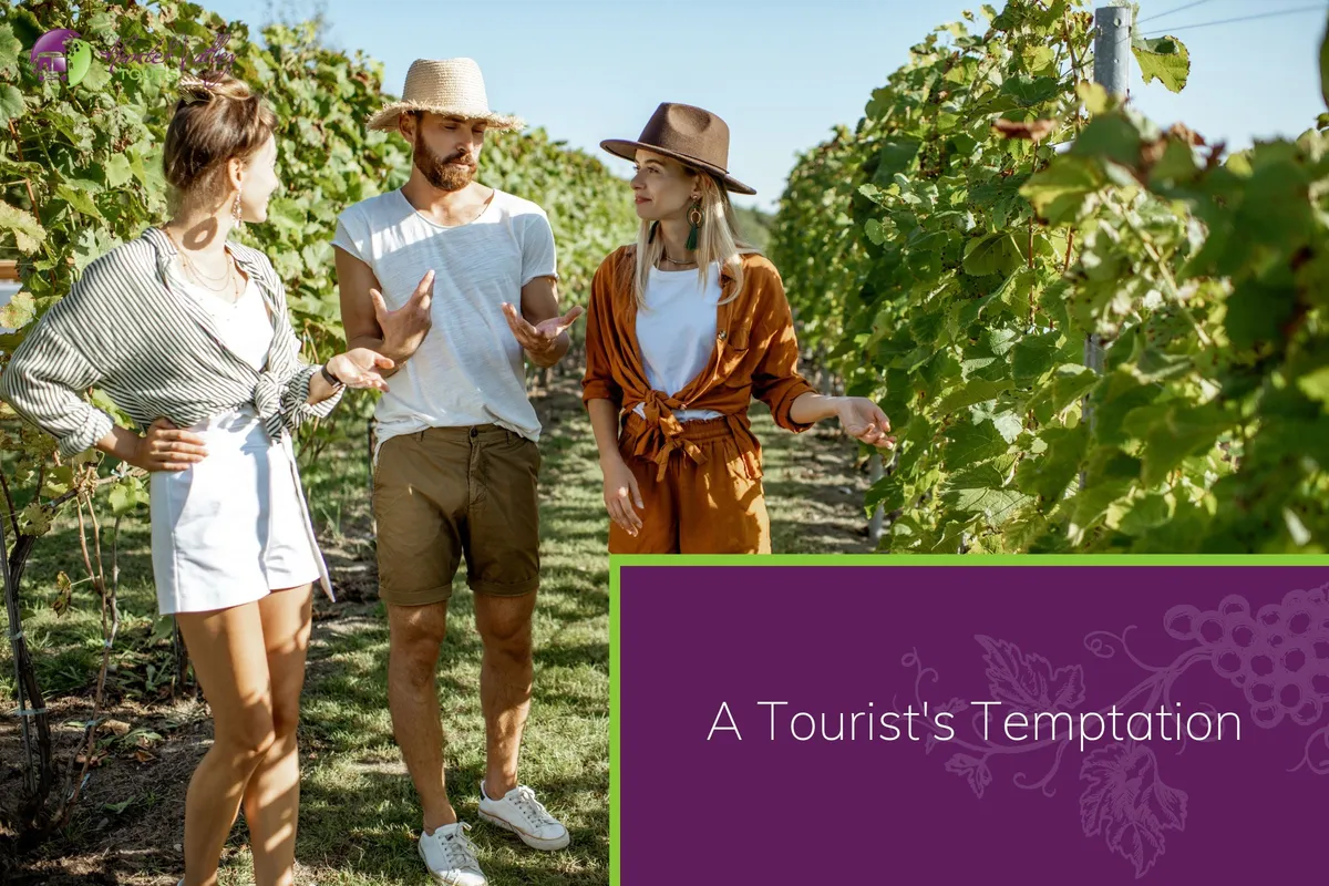 A Tourist's Temptation