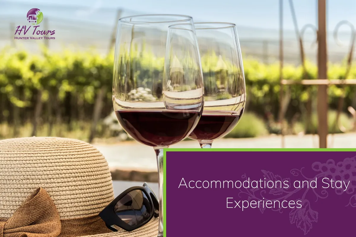 Accommodations and Stay Experiences
