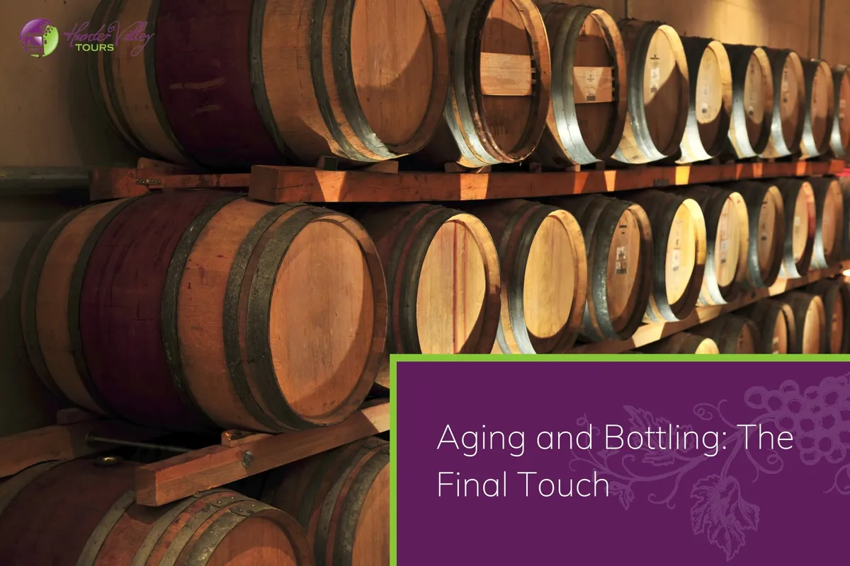 wine aging containers