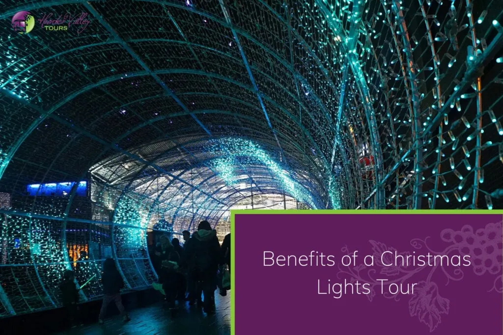 Benefits of a Christmas Lights Tour