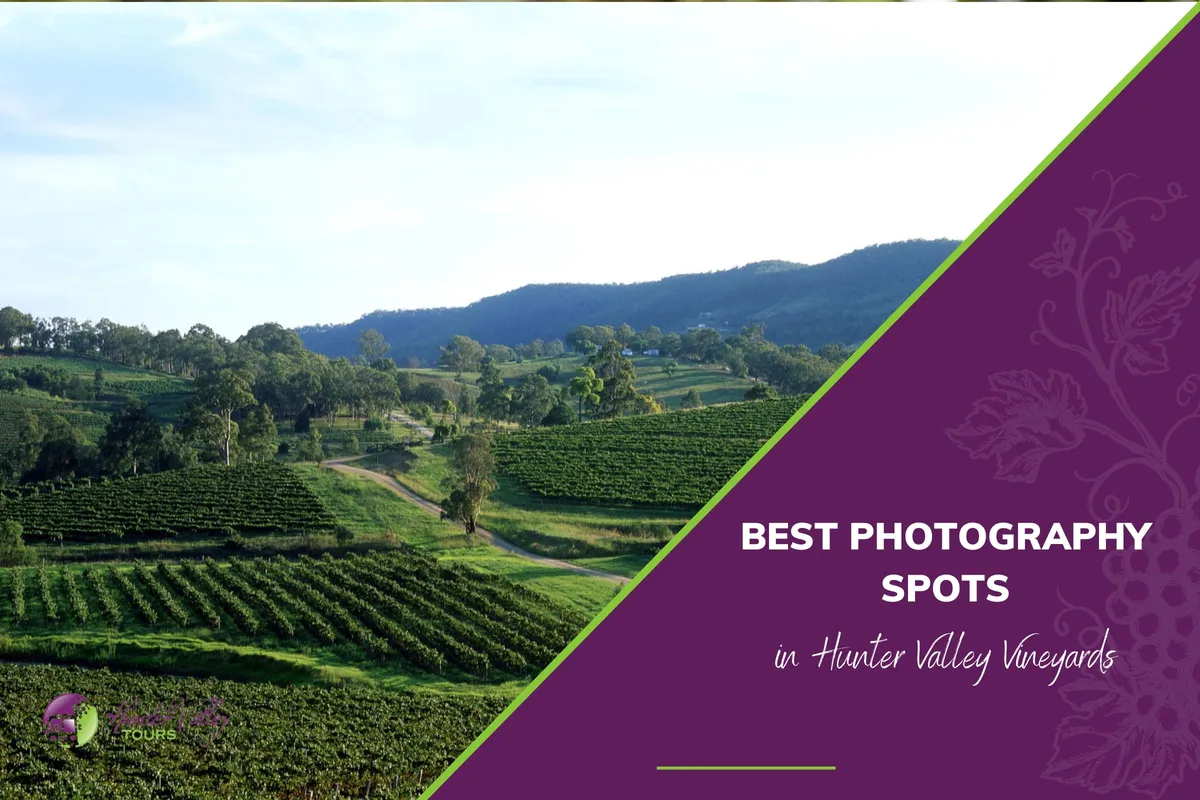 Best Photography Spots in Hunter Valley Vineyards