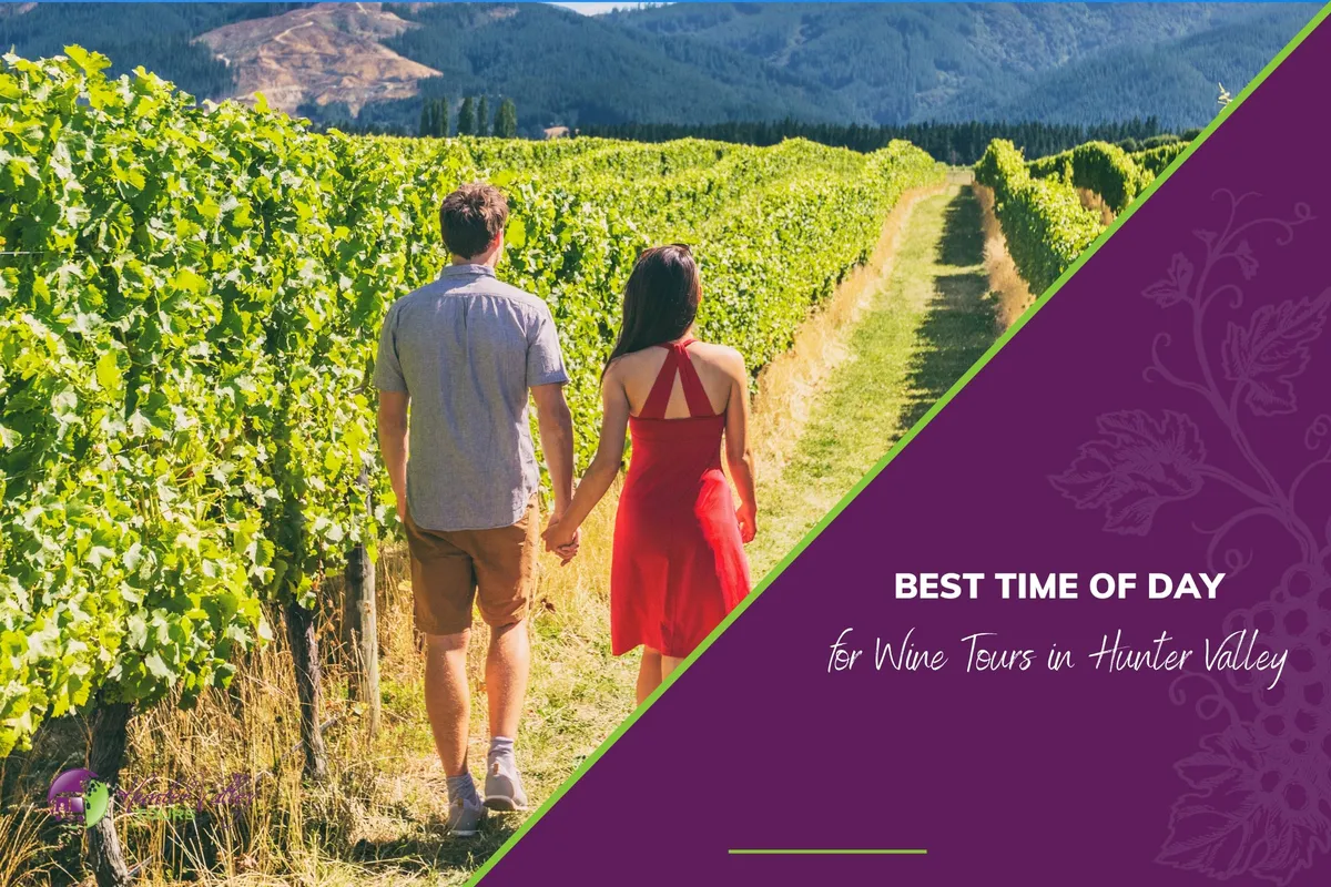Best Time of Day for Wine Tours in Hunter Valley