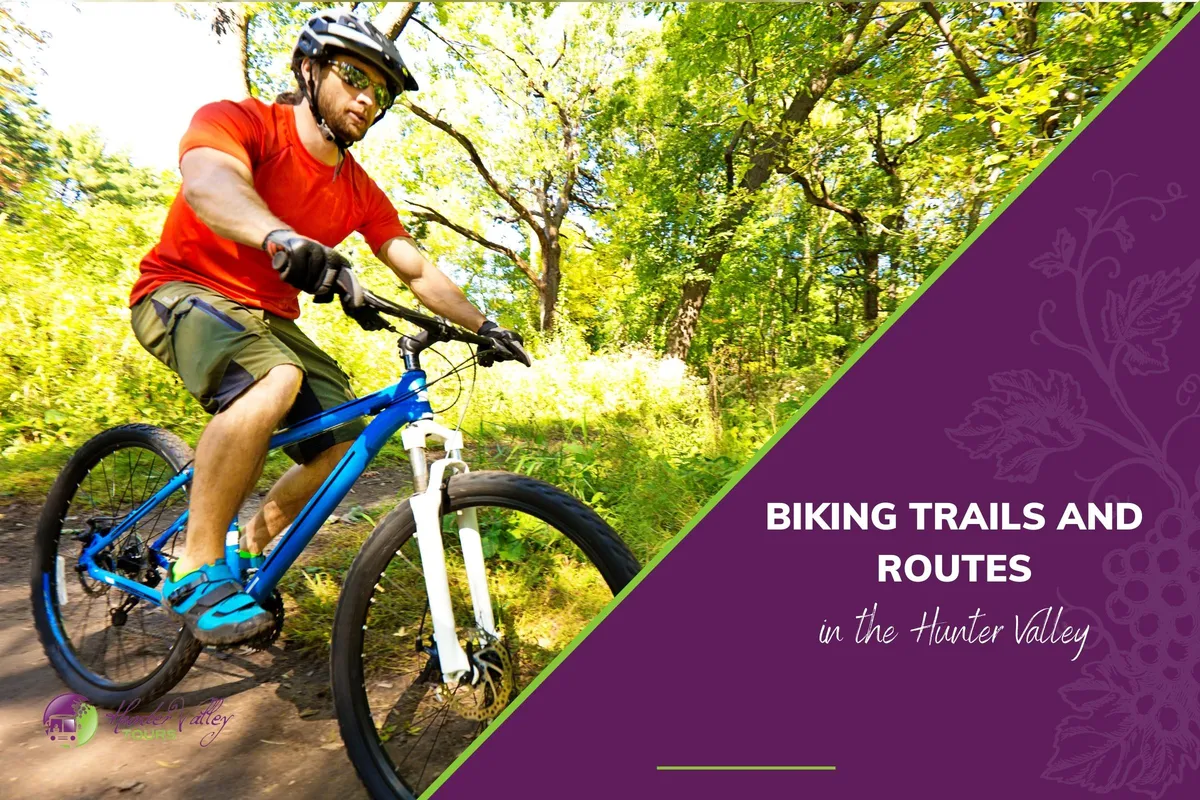 Biking Trails and Routes in the Hunter Valley