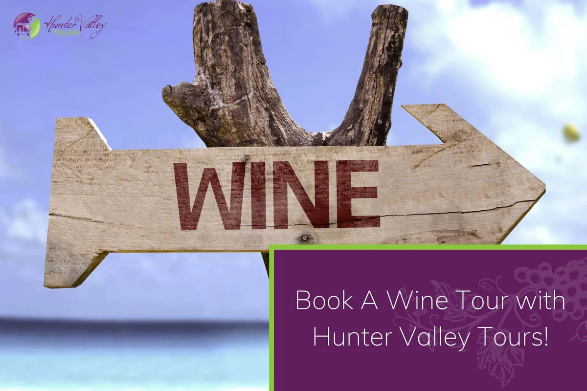 Book A Wine Tour with Hunter Valley Tours!