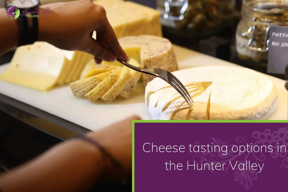 Cheese tasting options in the Hunter Valley