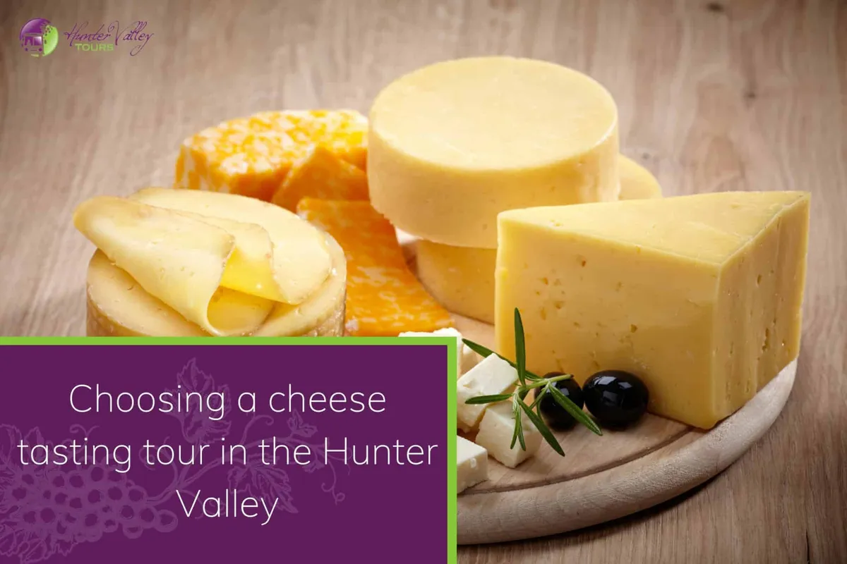 Choosing a cheese tasting tour in the Hunter Valley