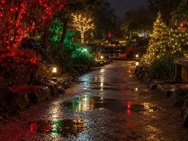 Illustration: a wet crushed-granite garden path at night in light rain, with puddles reflecting red, green and gold Christmas lights from displays along the edges.