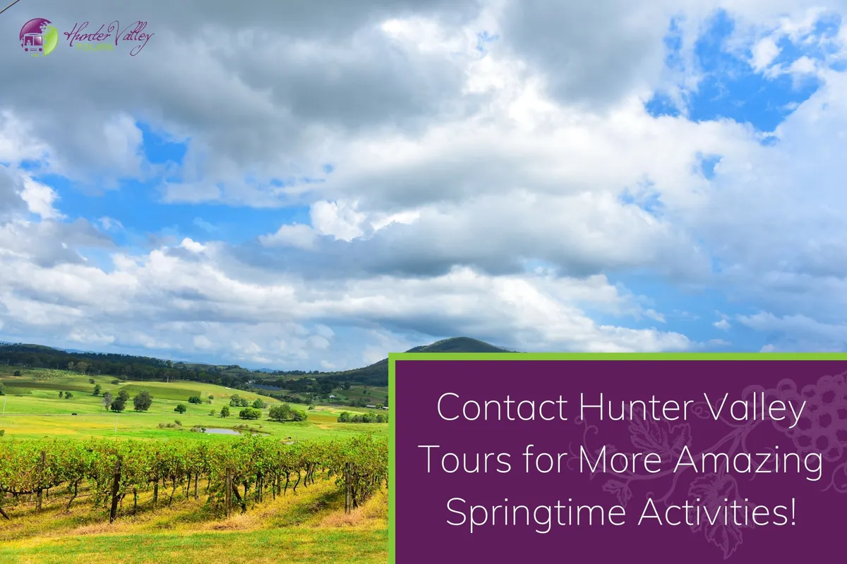 Contact Hunter Valley Tours for More Amazing Springtime Activities!