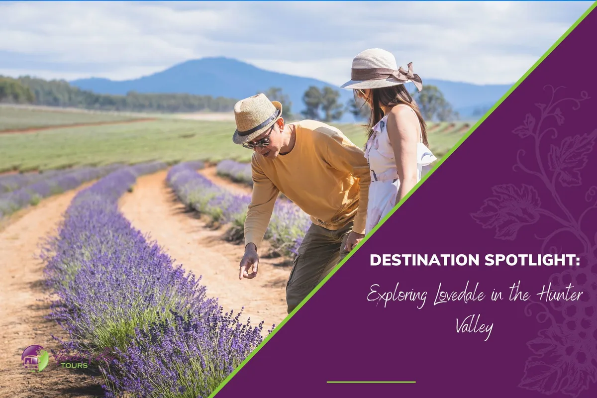Destination Spotlight: Exploring Lovedale in the Hunter Valley
