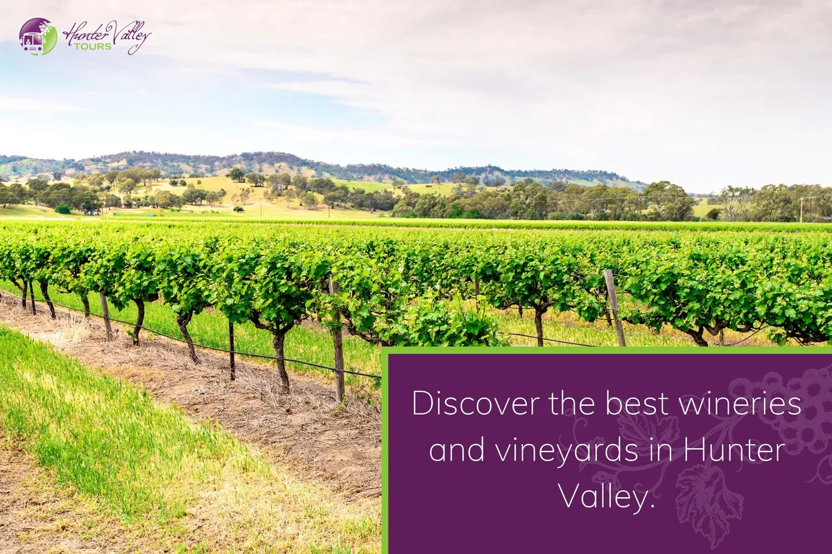 Discover the best wineries and vineyards in Hunter Valley.