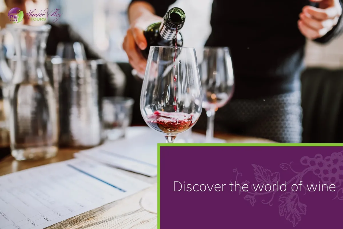 Discover the world of wine