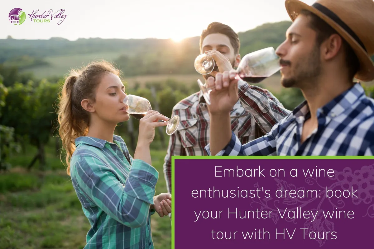 Embark on a wine enthusiast's dream_ book your Hunter Valley wine tour with HV Tours
