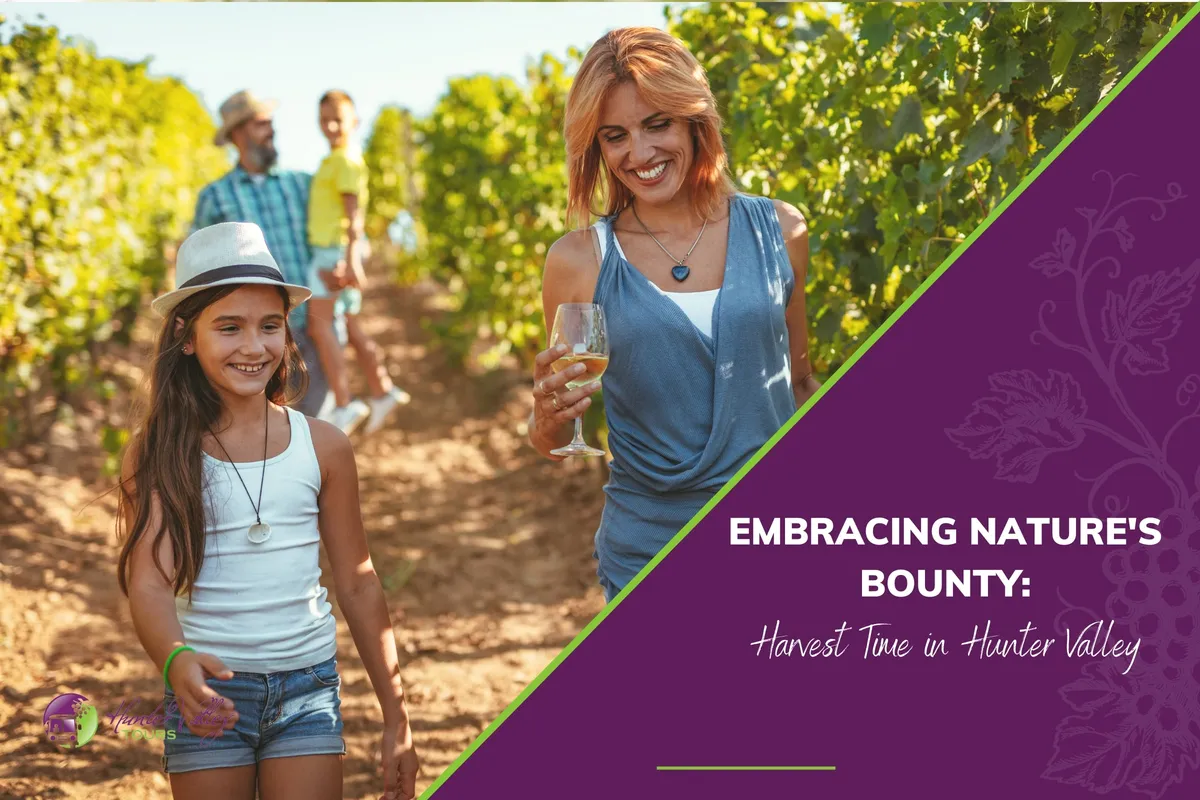 Embracing Nature’s Bounty: Harvest Time in Hunter Valley