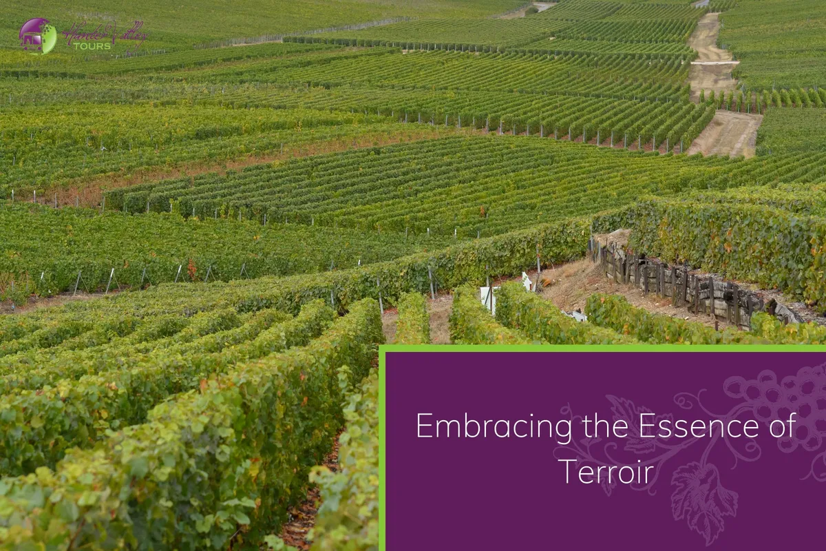 Embracing the Essence of Terroir