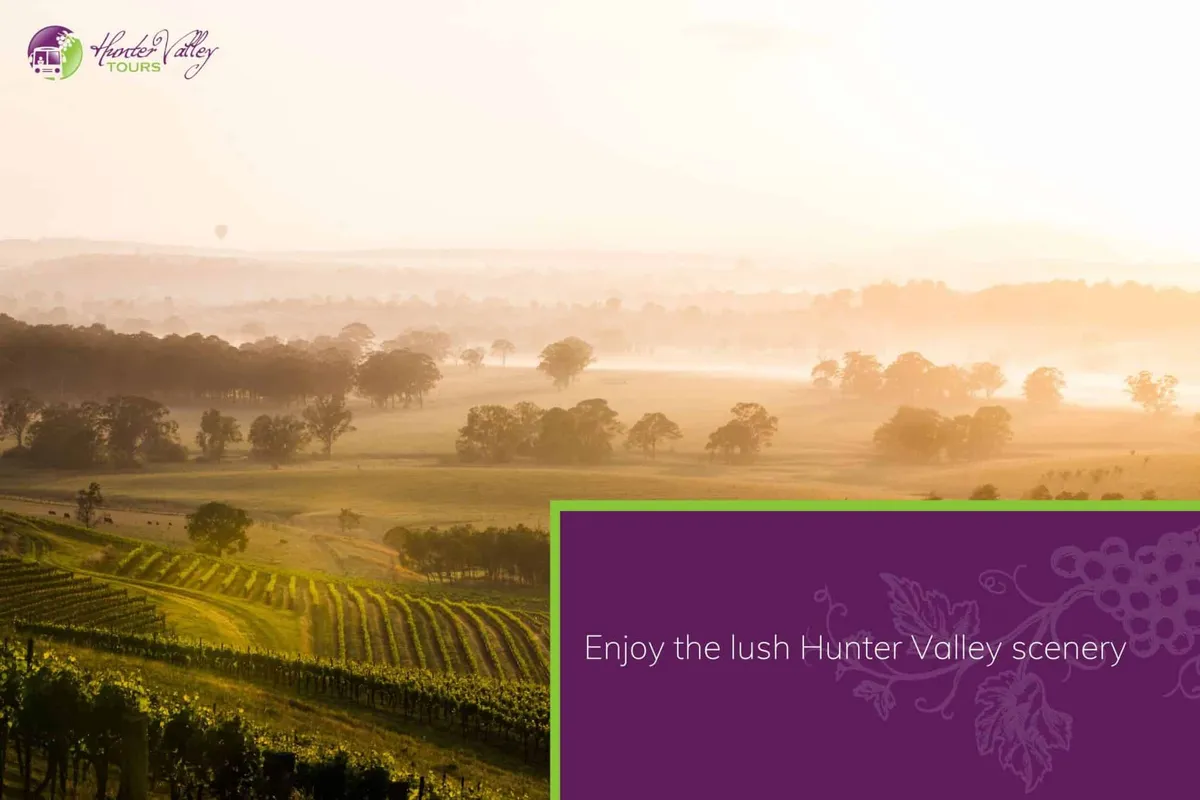 10 Reasons to Join Hunter Valley Wine Bus Tours