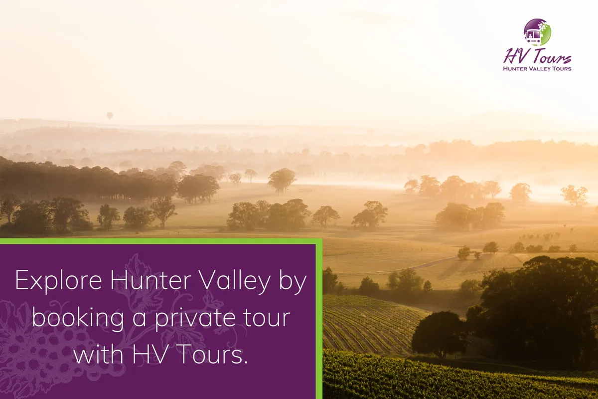 Explore Hunter Valley by booking a private tour with HV Tours