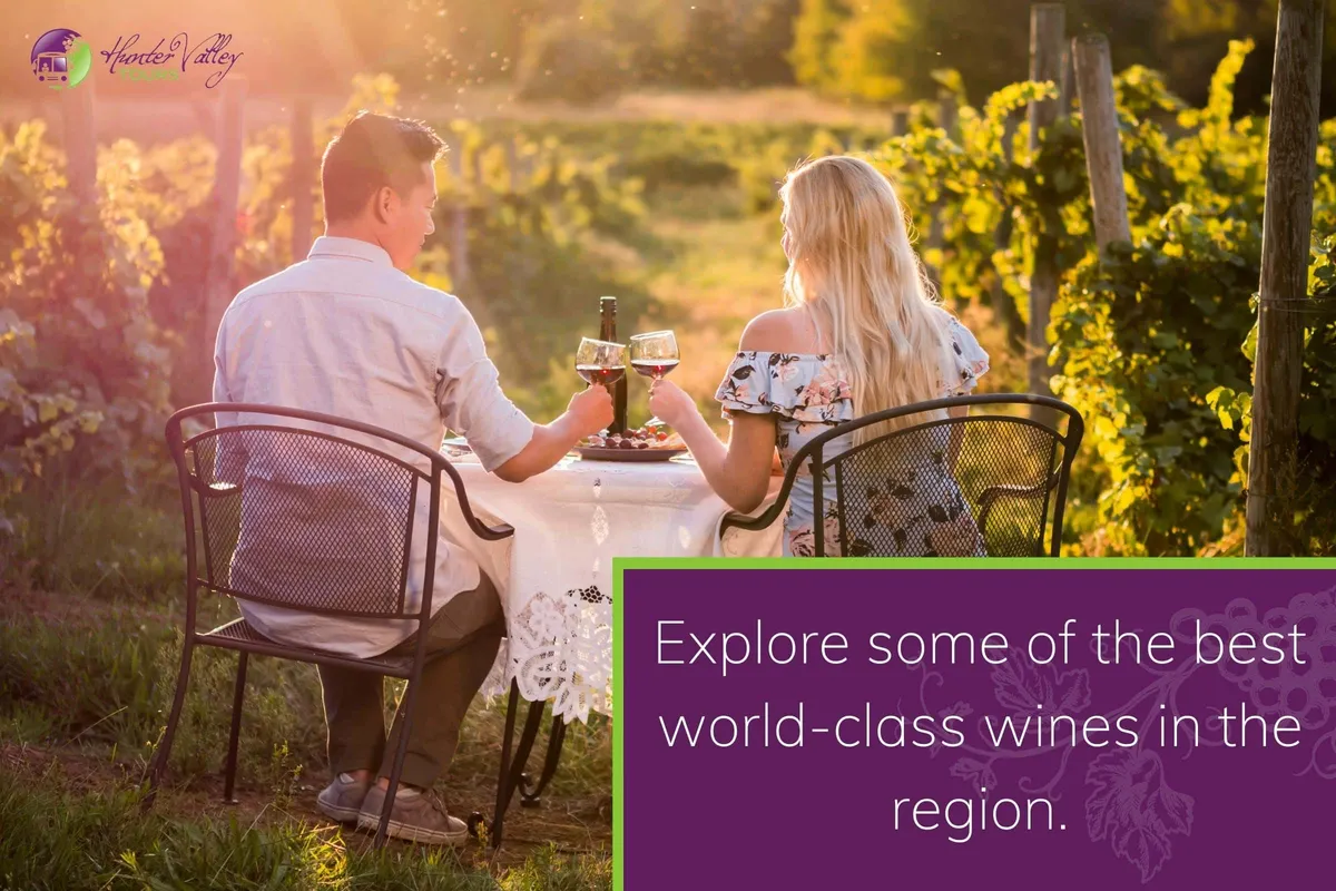 Explore some of the best world-class wines in the region.