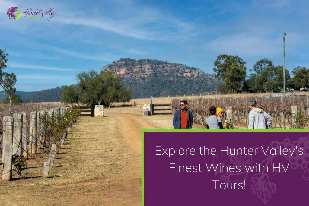 Explore the Hunter Valley's Finest Wines with HV Tours!