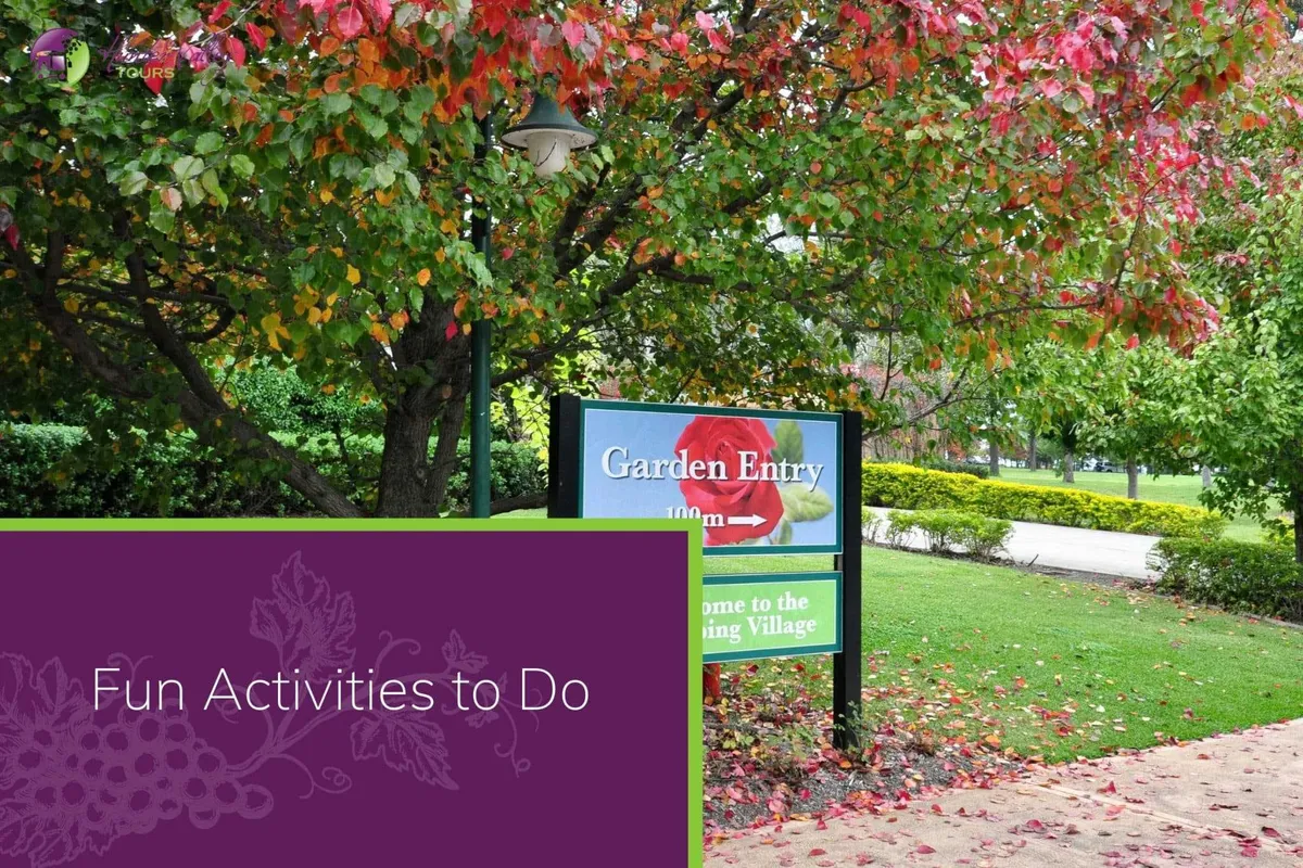 Fun Activities to Do
