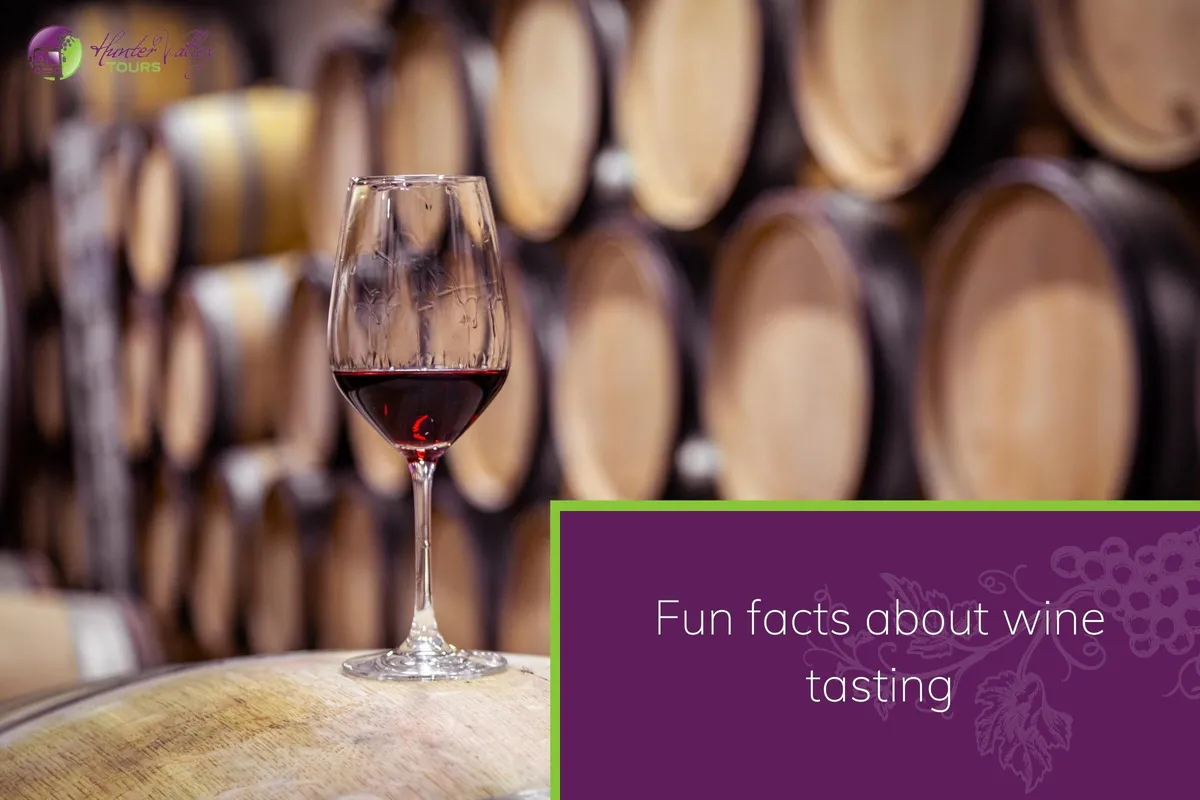 Fun facts about wine tasting