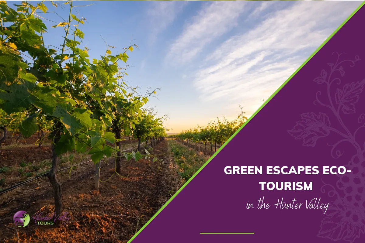 Green Escapes Eco-Tourism in the Hunter Valley