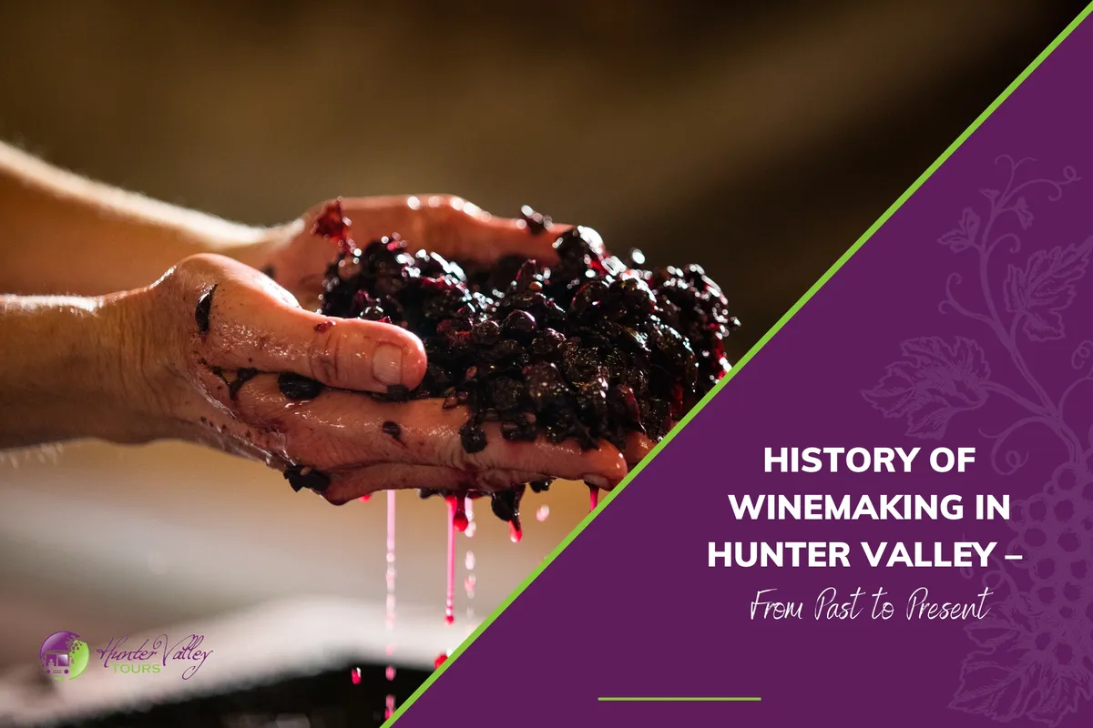 History of Winemaking in Hunter Valley – From Past to Present