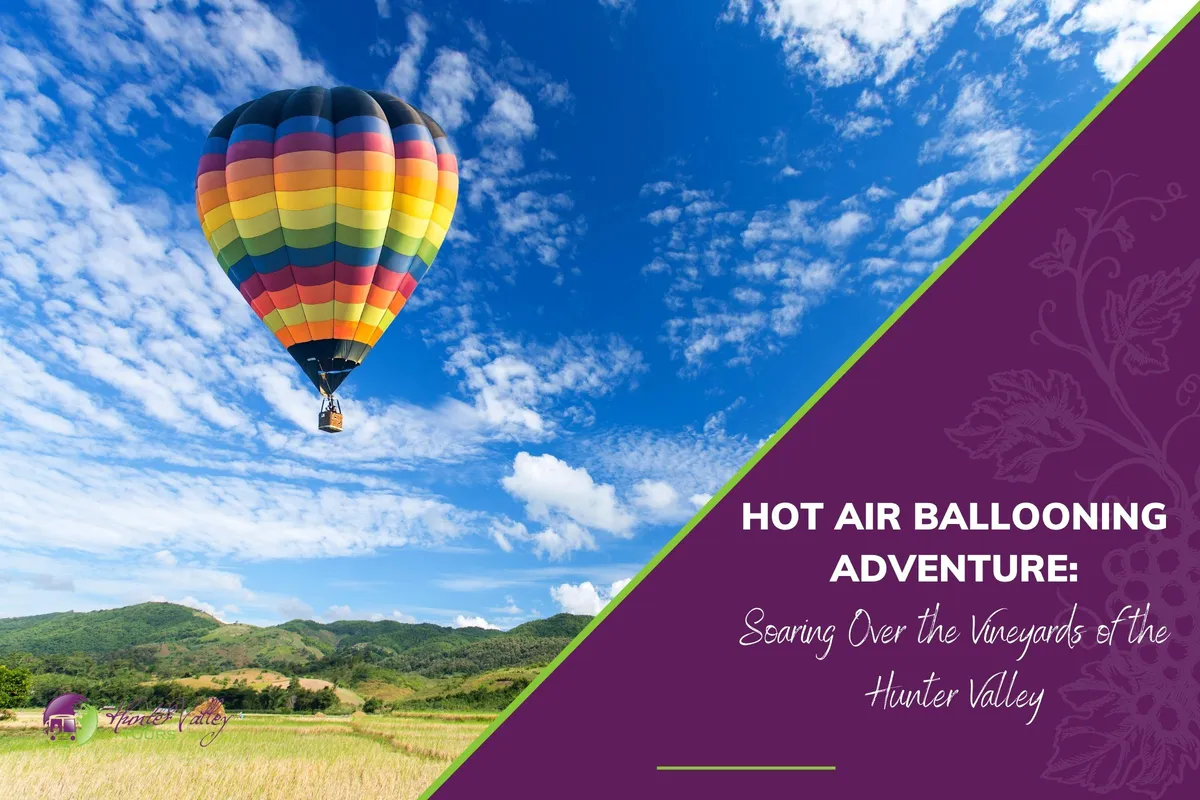Hot Air Ballooning Adventure: Soaring Over the Vineyards of the Hunter Valley