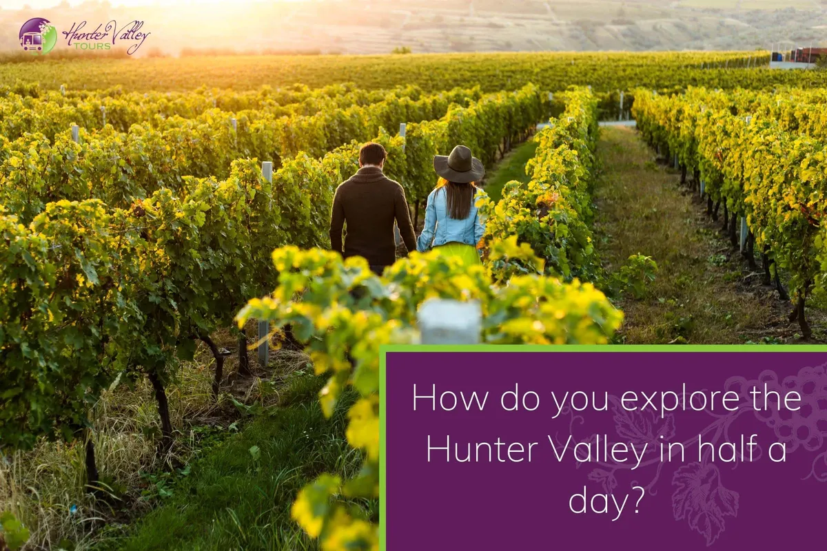 How do you explore the Hunter Valley in half a day