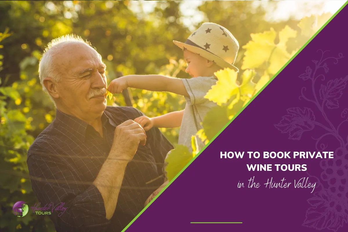 How to Book Private Wine Tours in the Hunter Valley