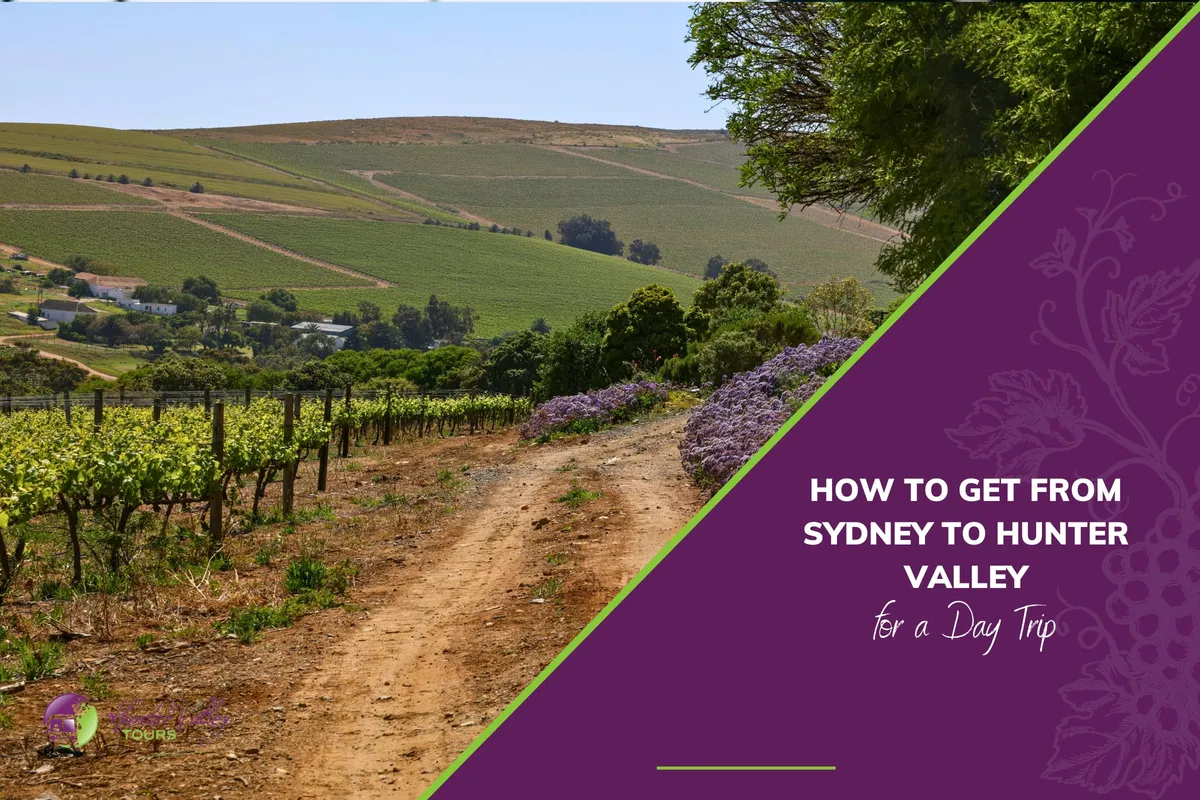 How to Get from Sydney to Hunter Valley for a Day Trip