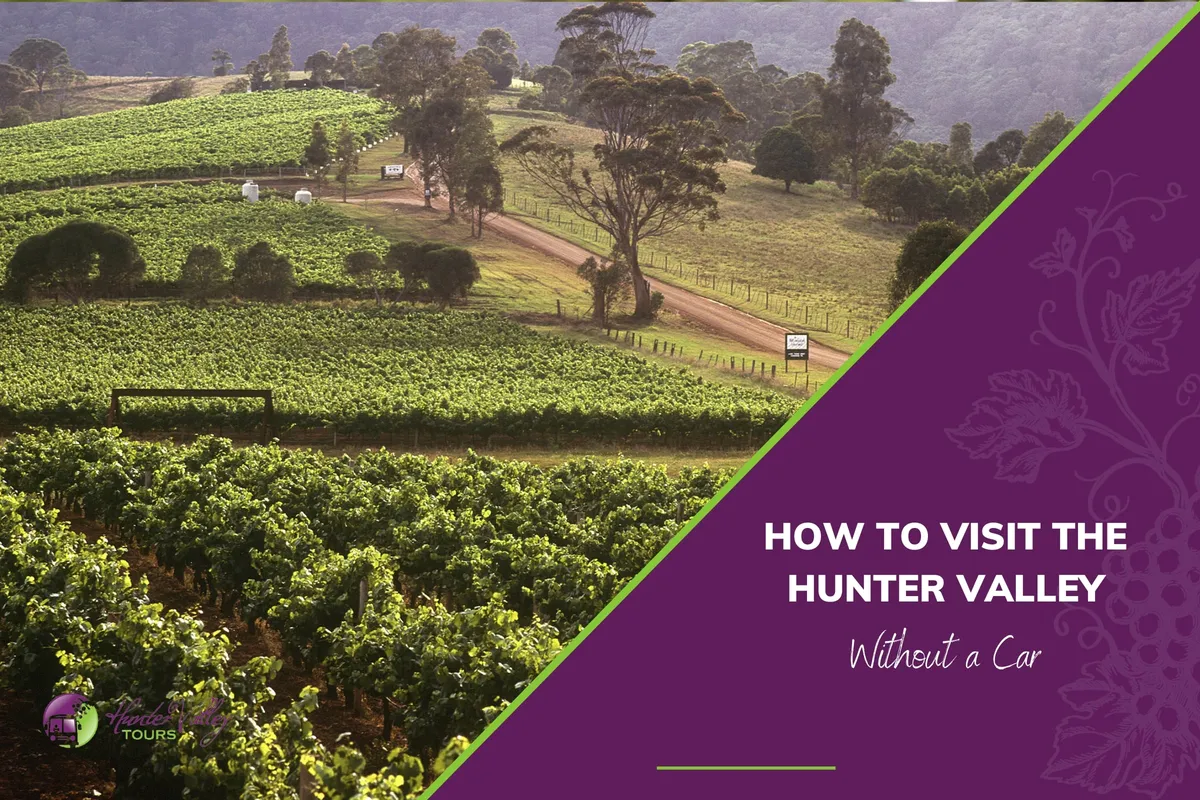 How to Visit The Hunter Valley Without a Car