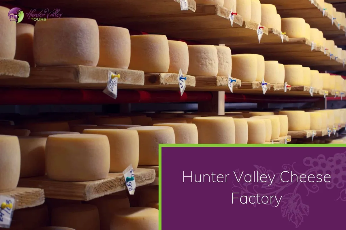 Hunter Valley Cheese Factory