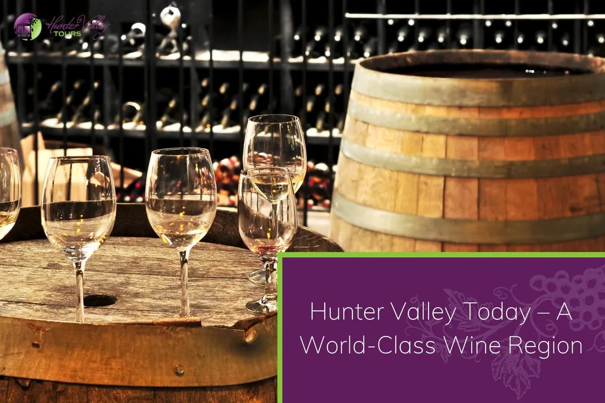 Wine tasting at a Hunter Valley winery, showcasing the region's world-class wines