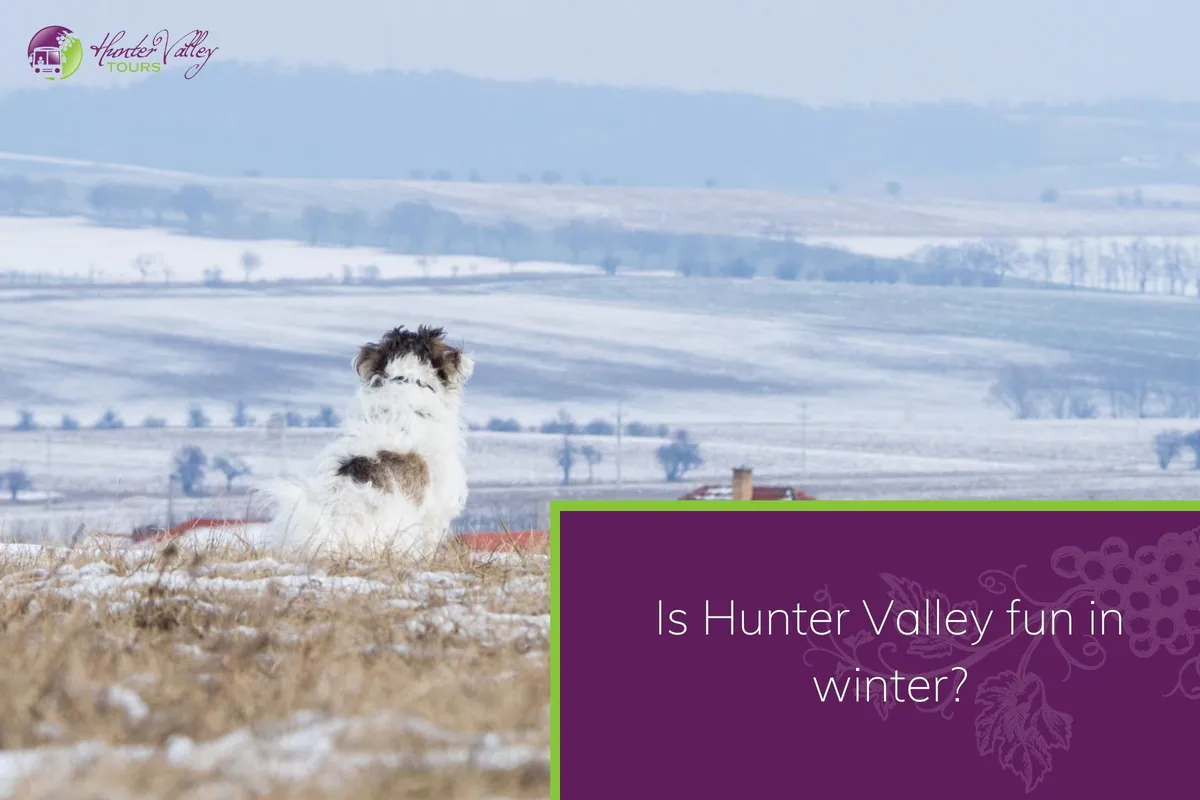 Is Hunter Valley fun in winter