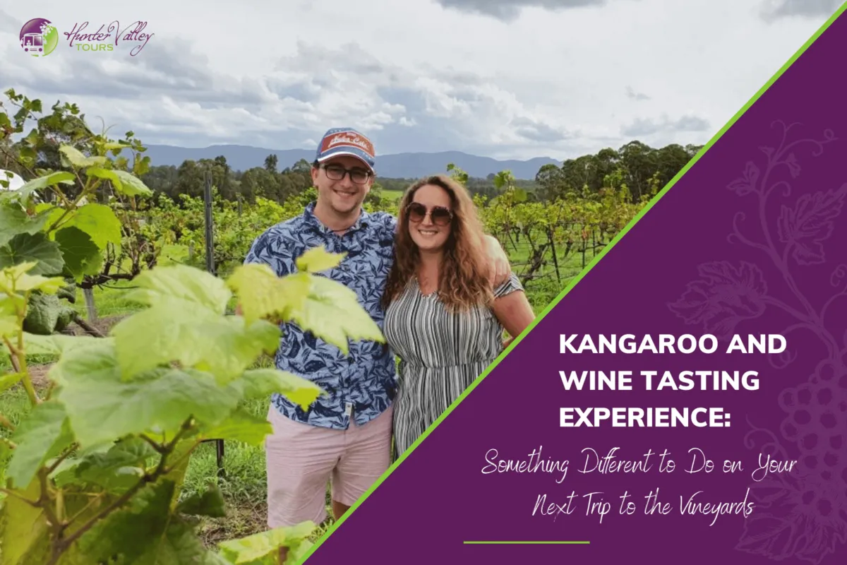 Kangaroos and Wine Tasting Experience: Something a Little Different to Do on Your Next Trip to the Vineyards