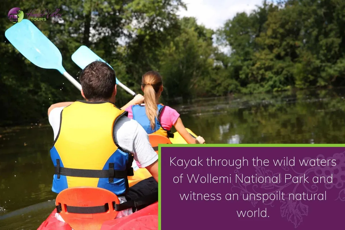 Kayak through the wild waters of Wollemi National Park