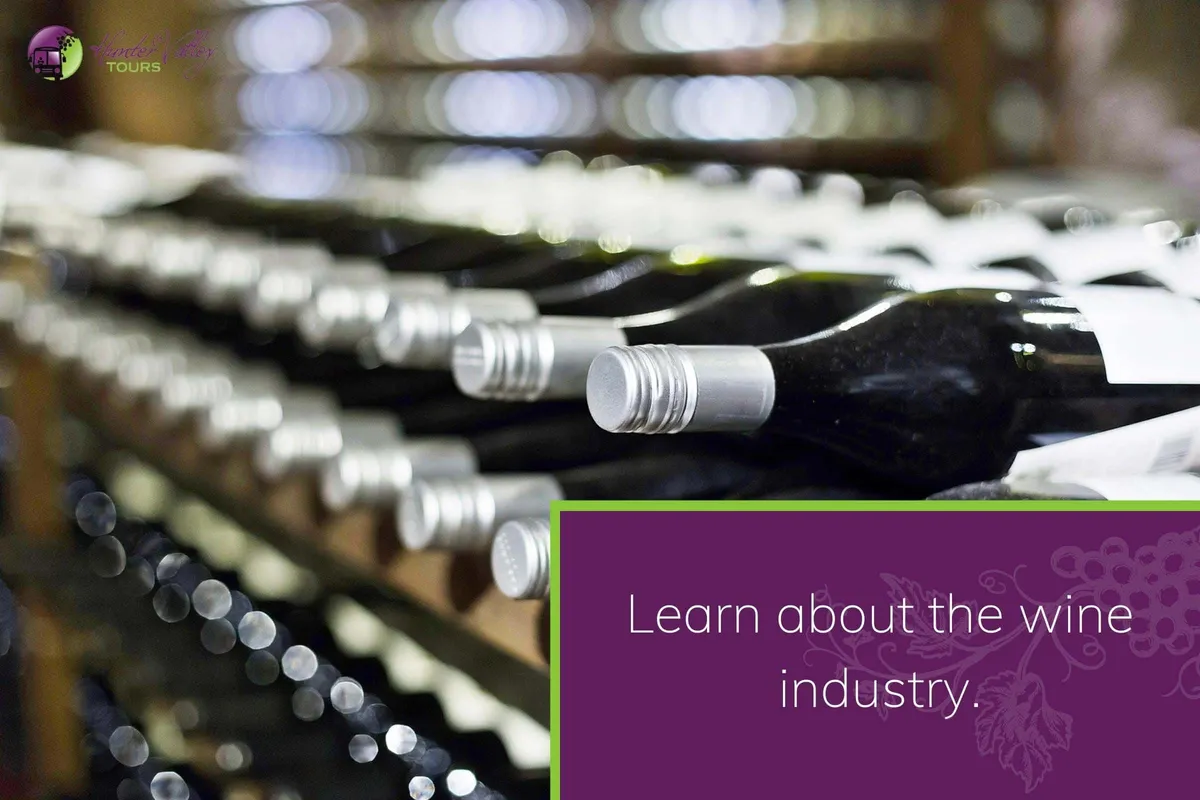 Learn about the wine industry.