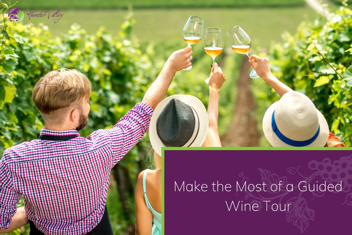 Make the Most of a Guided Wine Tour