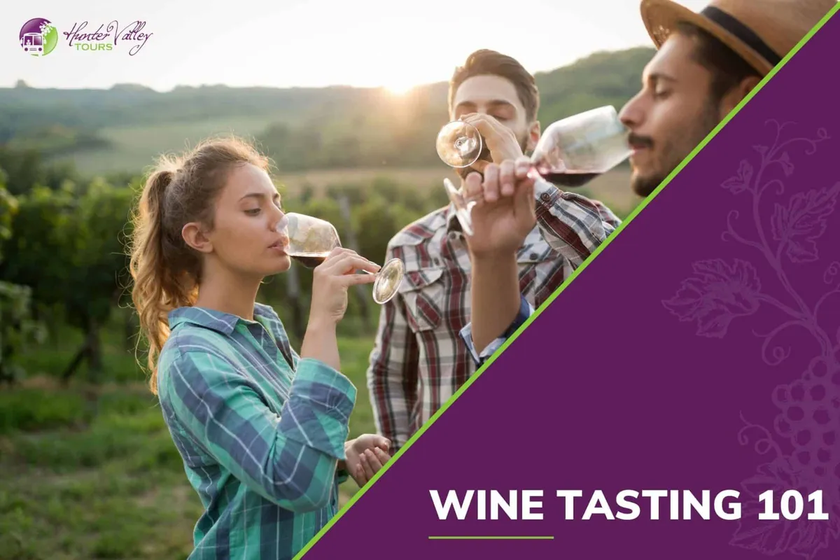 Wine Tasting 101