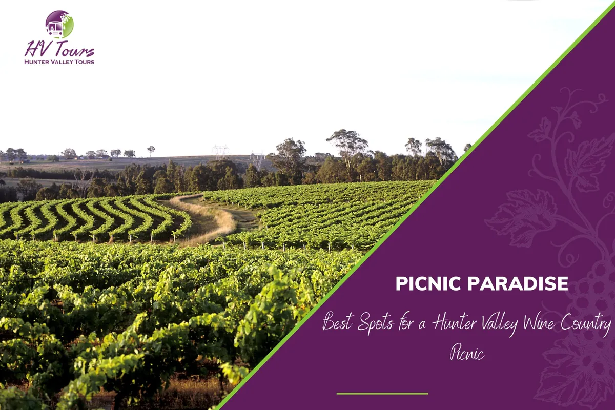 Picnic Paradise: Best Spots for a Hunter Valley Wine Country Picnic
