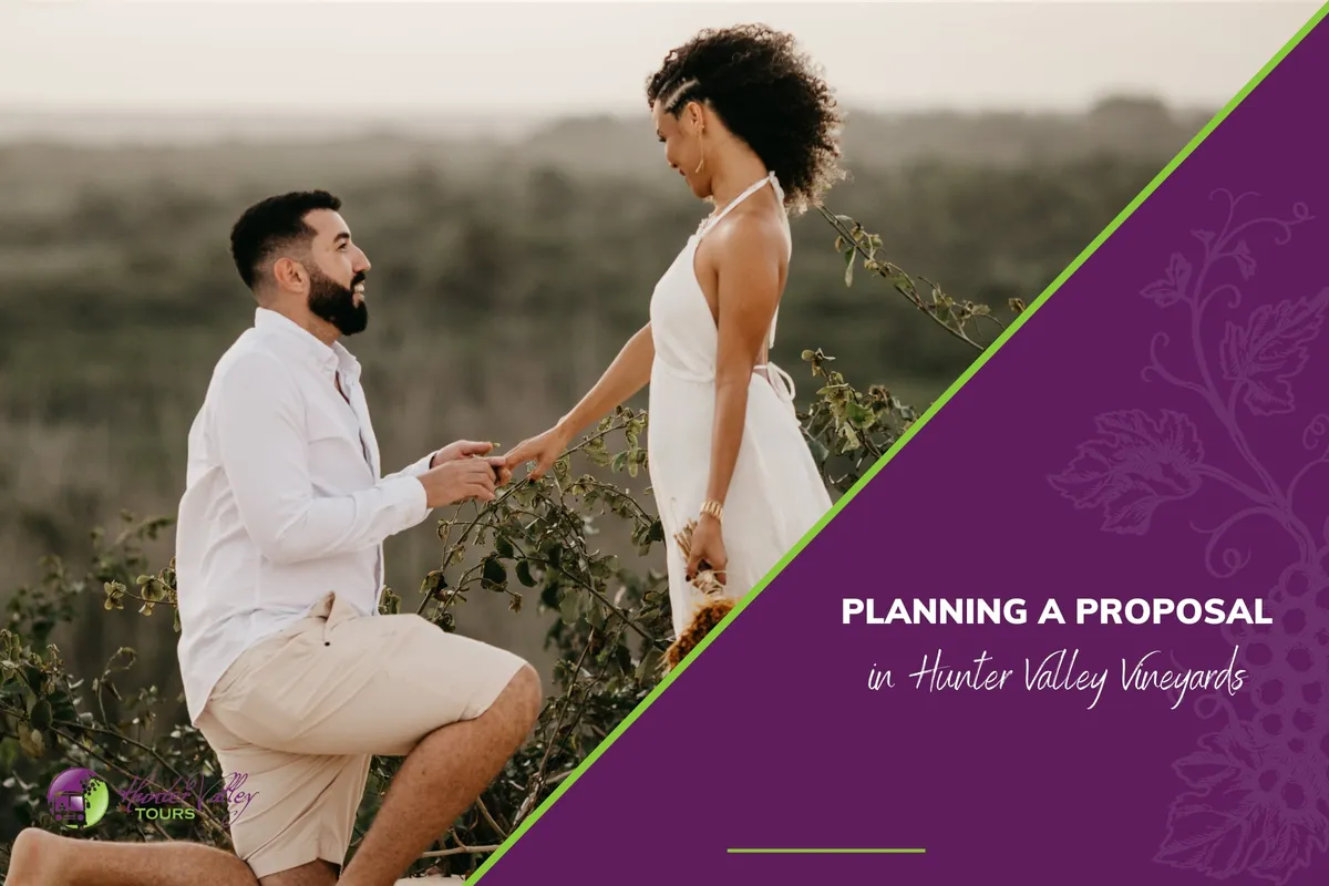 Planning a Proposal in Hunter Valley Vineyards